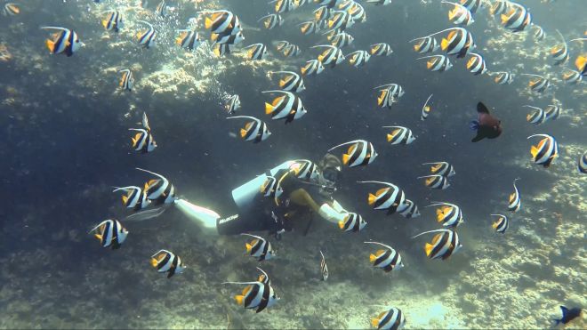 diver diving in the north ari atoll in the maldives