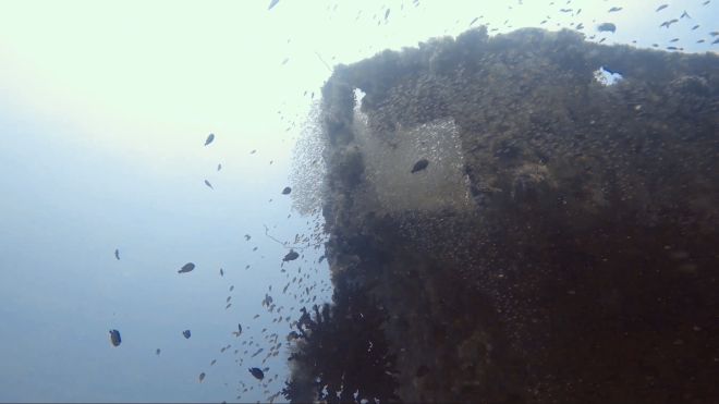 punto de buceo naufragio halaveli en el atolón ari del norte